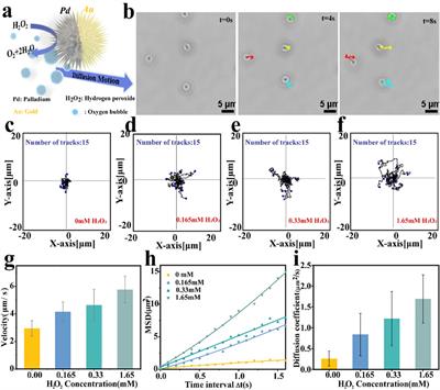 Mechanically Optimize T Cells Activation by Spiky Nanomotors